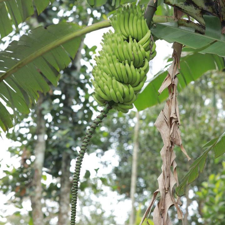 Photo of Others in Uttamapalaiyam
