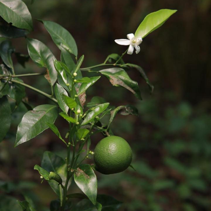 Photo of Others in Uttamapalaiyam
