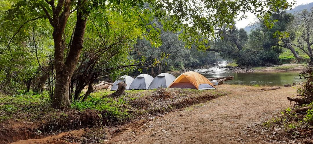 Photo of Others in Madikeri