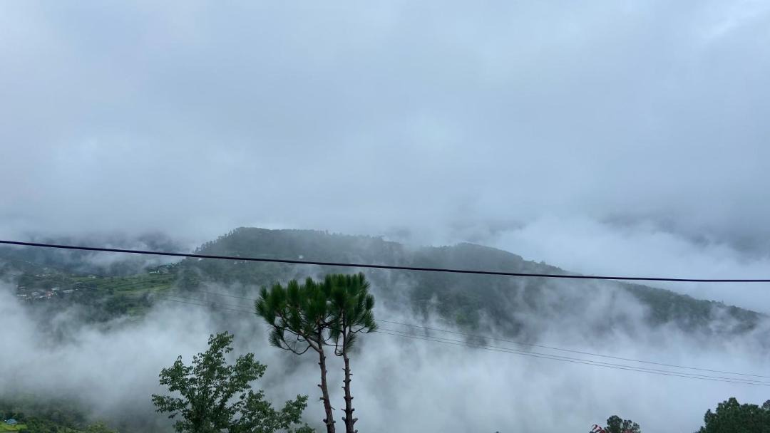 Photo of Outdoor in Naldehra
