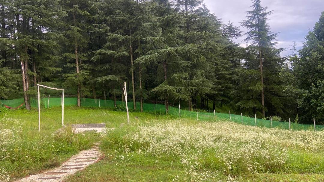 Photo of Outdoor in Naldehra