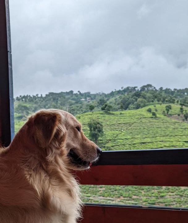 Photo of Others in Kotagiri