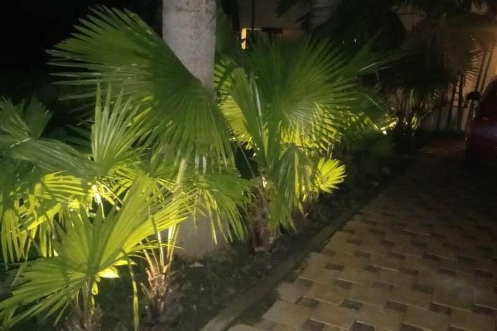 Photo of Outdoor in Bhandardaha