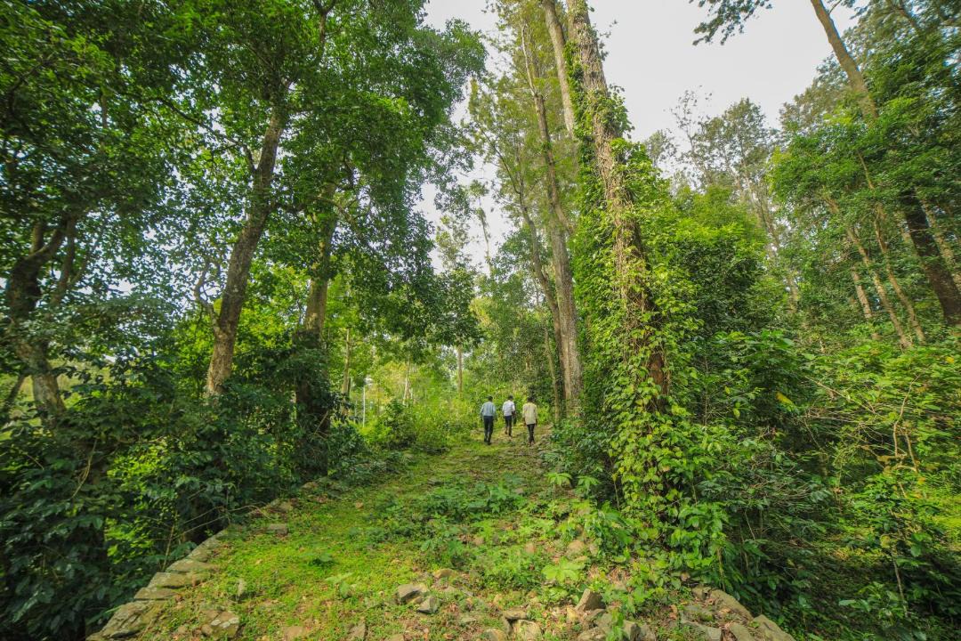 Photo of Others in Yercaud