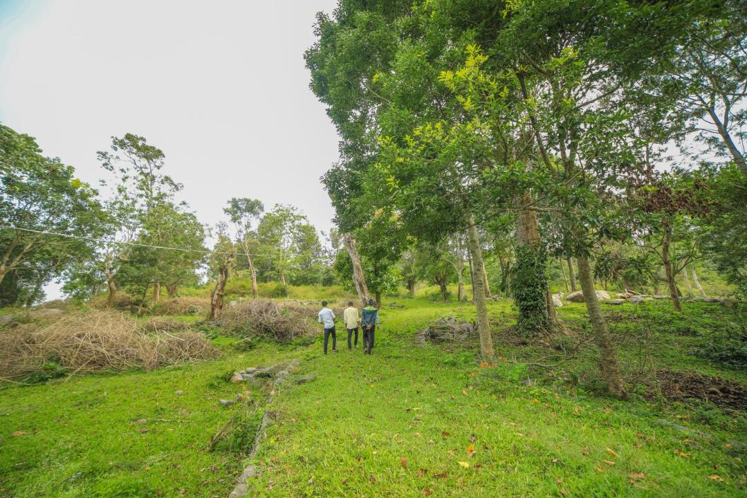 Photo of Others in Yercaud
