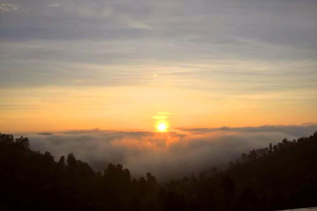 Photo of Outdoor in Kodaikanal