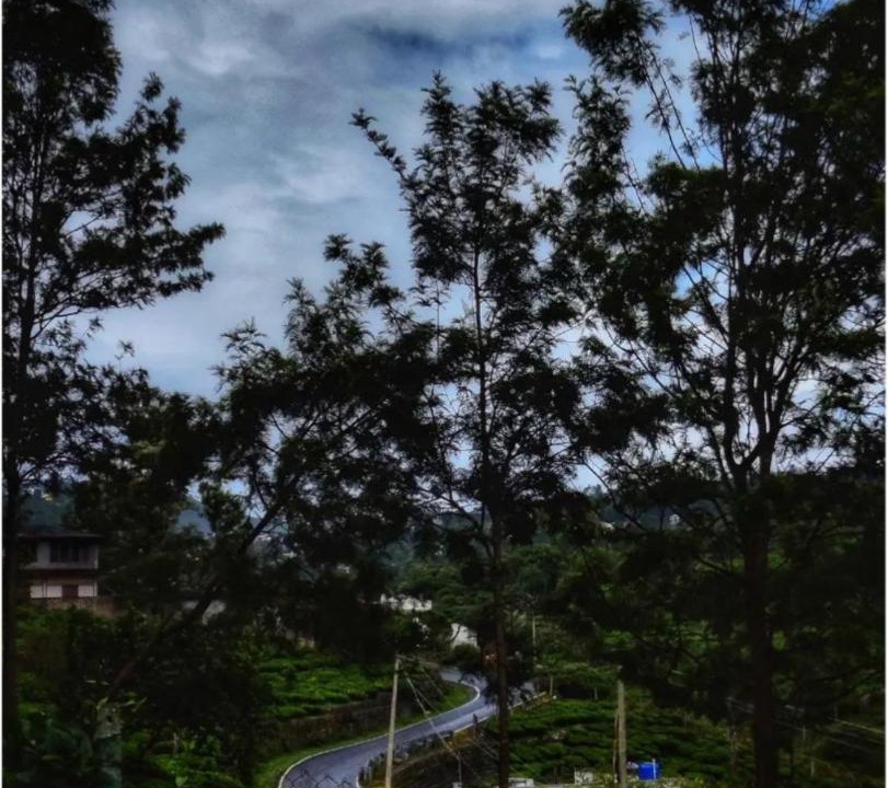 Photo of Others in Kotagiri