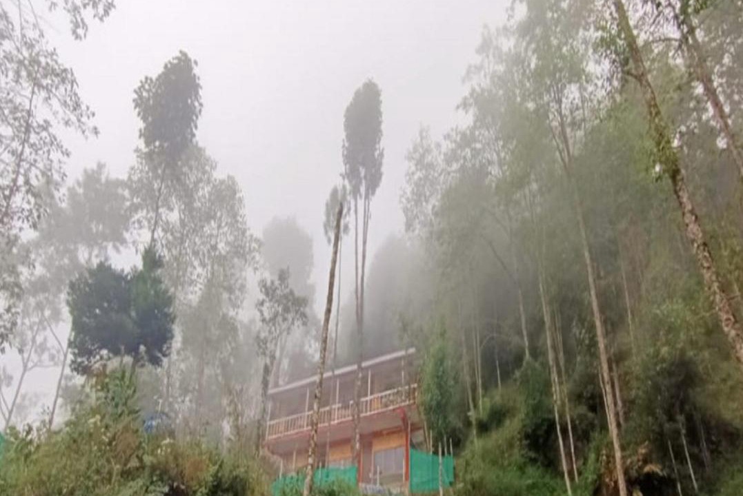 Photo of Outdoor in Lebong and Mineral Spring Tea Garden