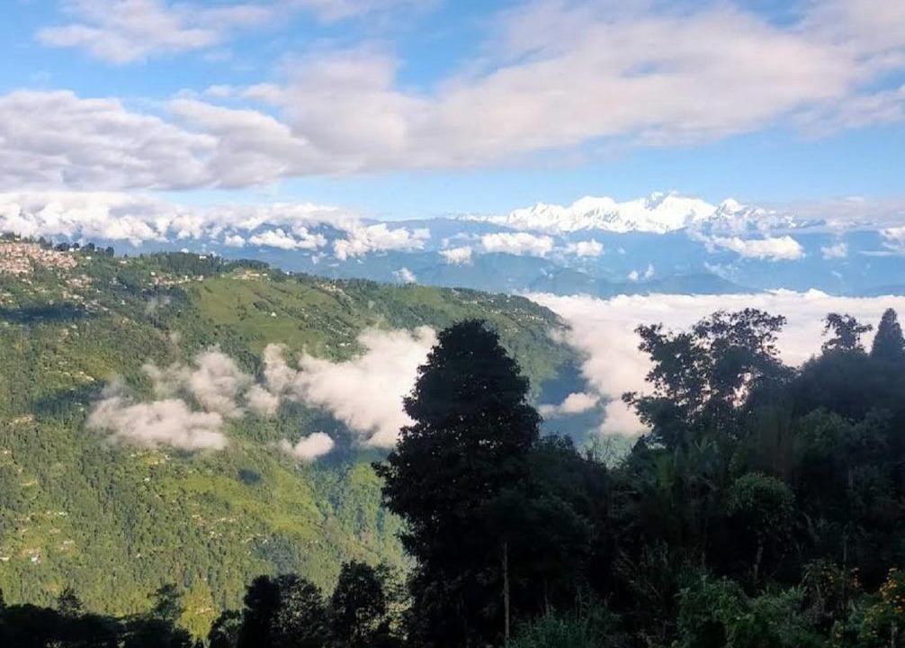 Photo of Outdoor in Lebong and Mineral Spring Tea Garden