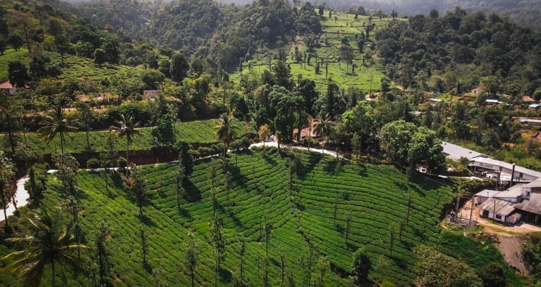 Photo of Outdoor in Vythiri