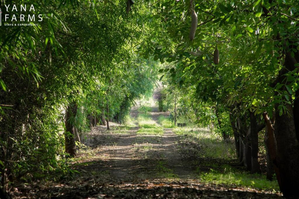 Photo of Outdoor in Dindori