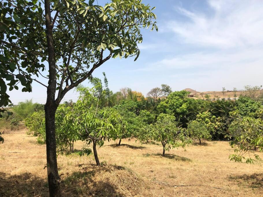 Photo of Outdoor in Dindori