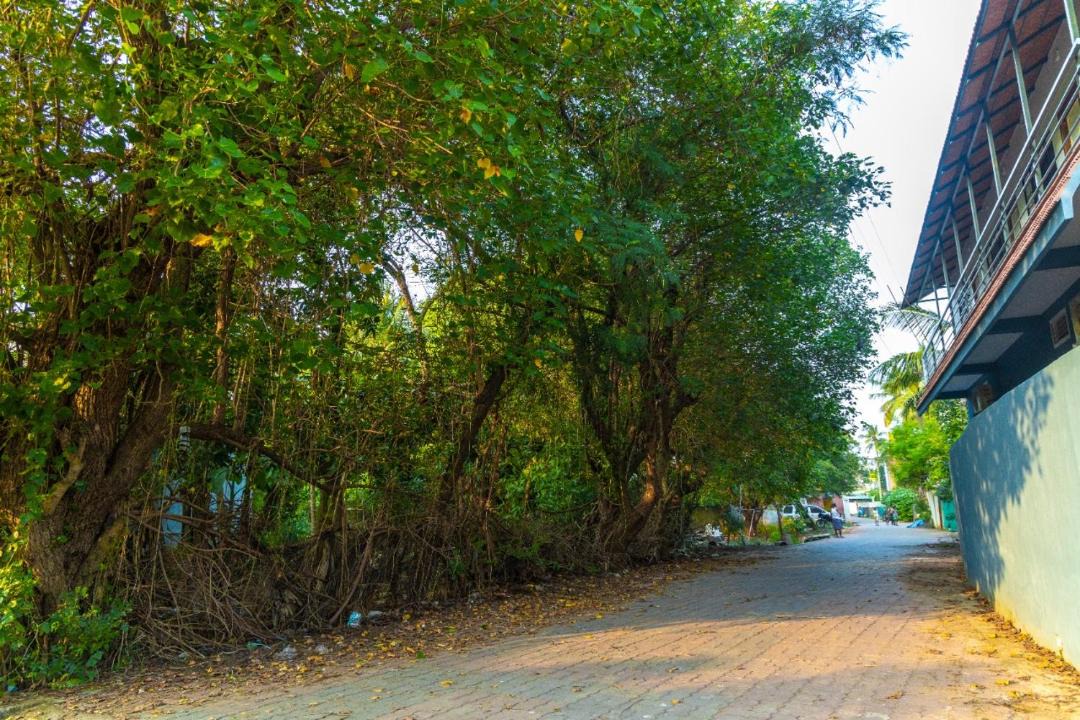 Photo of Others in Kottakuppam