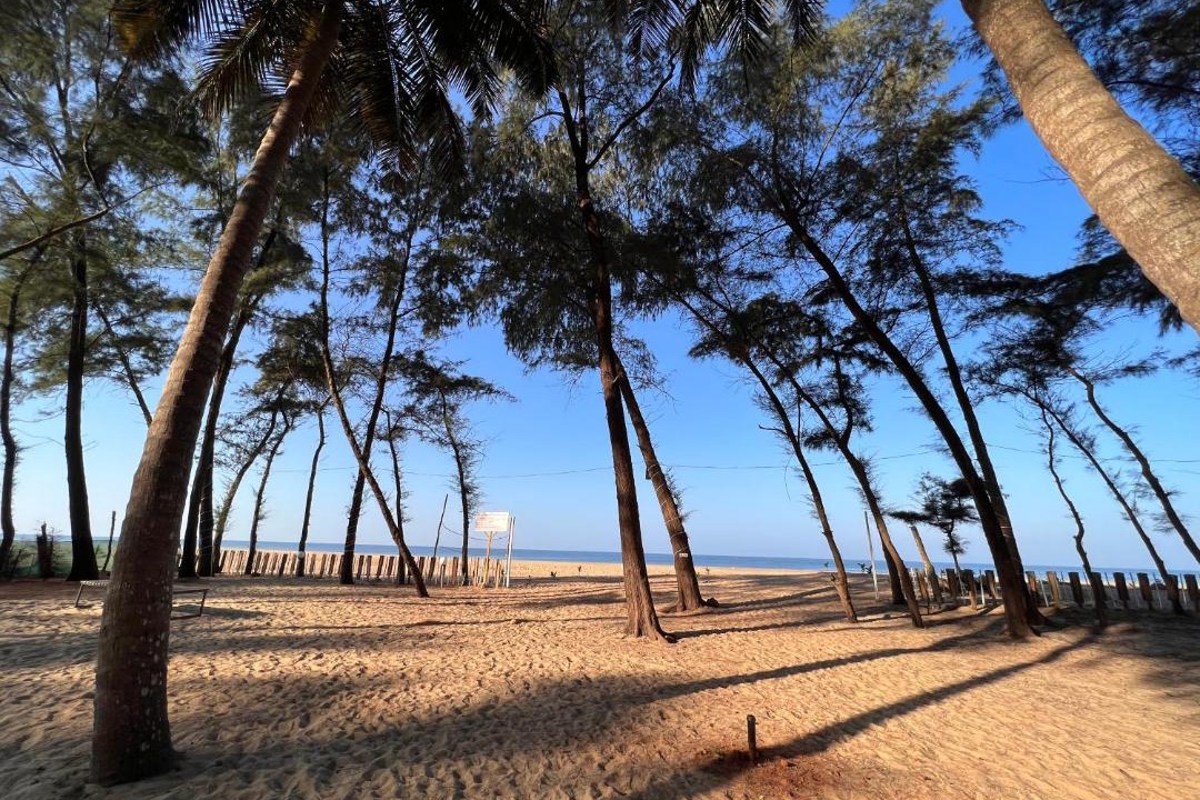 Photo of Outdoor in Kumta