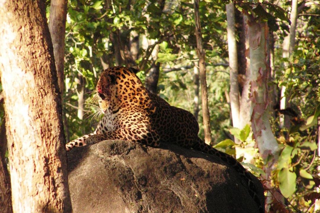 Photo of Others in Mandla