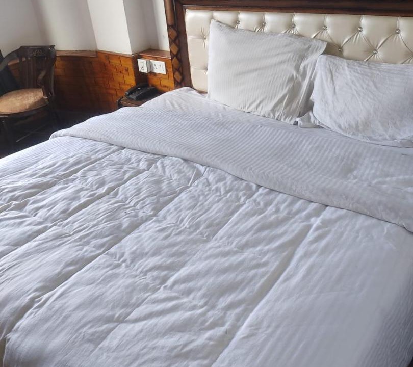Photo of Bedroom in Theog