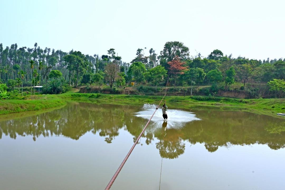 Photo of Others in Sakleshpur