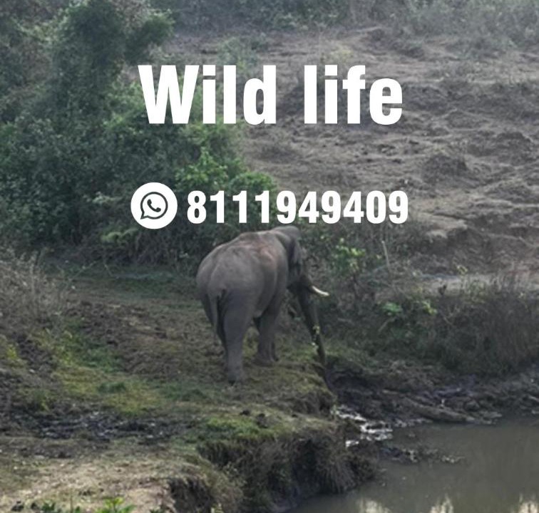Photo of Others in Mannarkkad