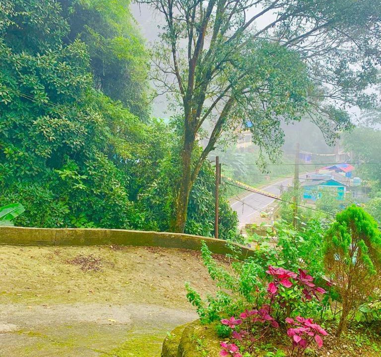 Photo of Outdoor in Kurseong