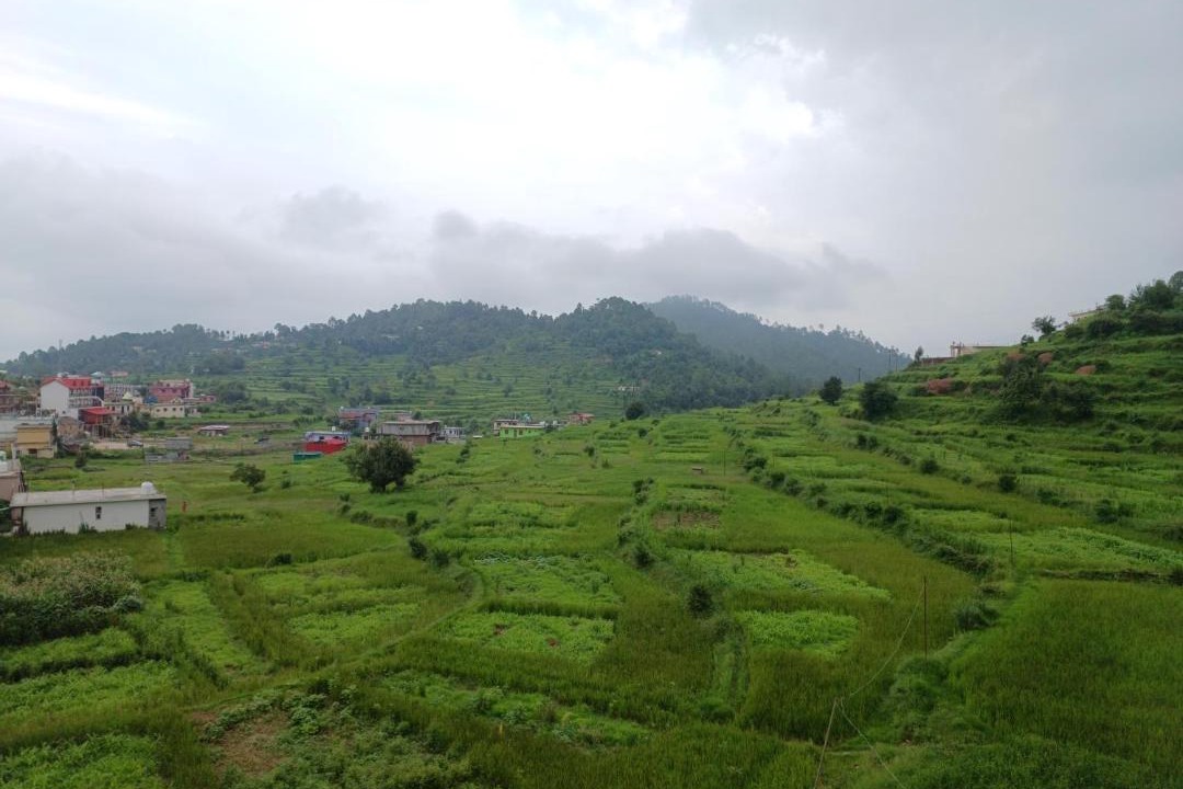 Photo of Others in Majkhali