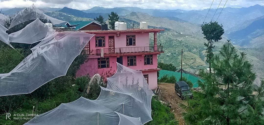 Photo of Others in Cheog