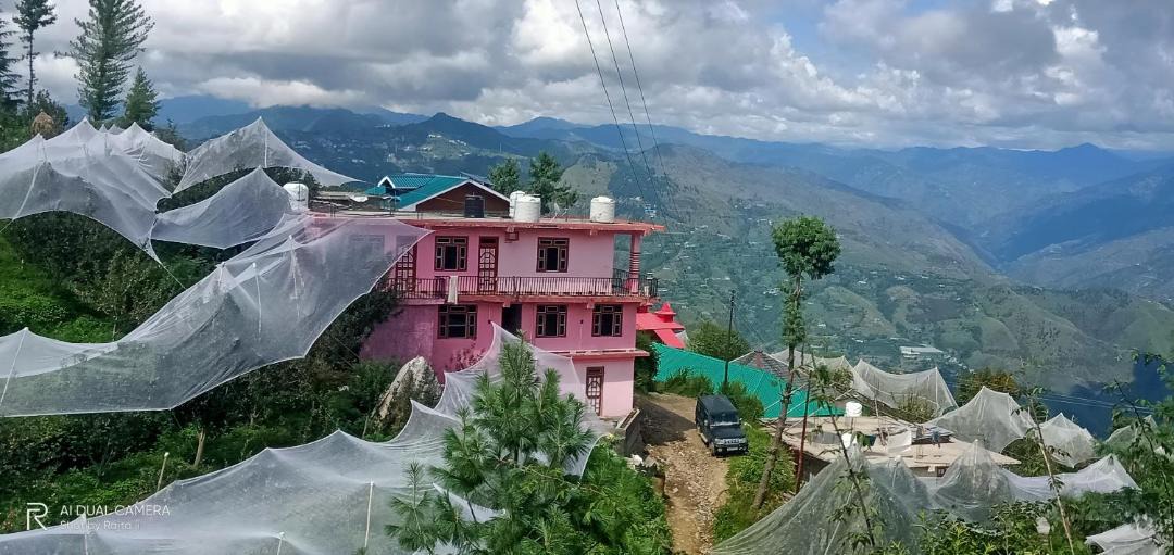Photo of Others in Cheog