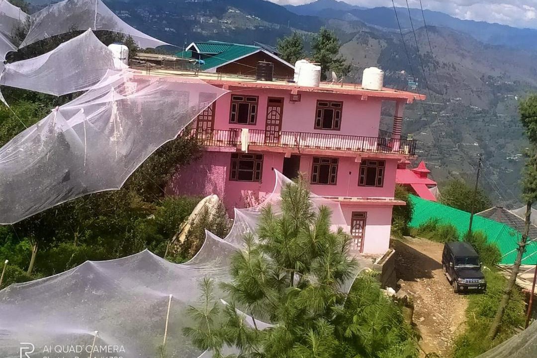 Photo of Others in Cheog