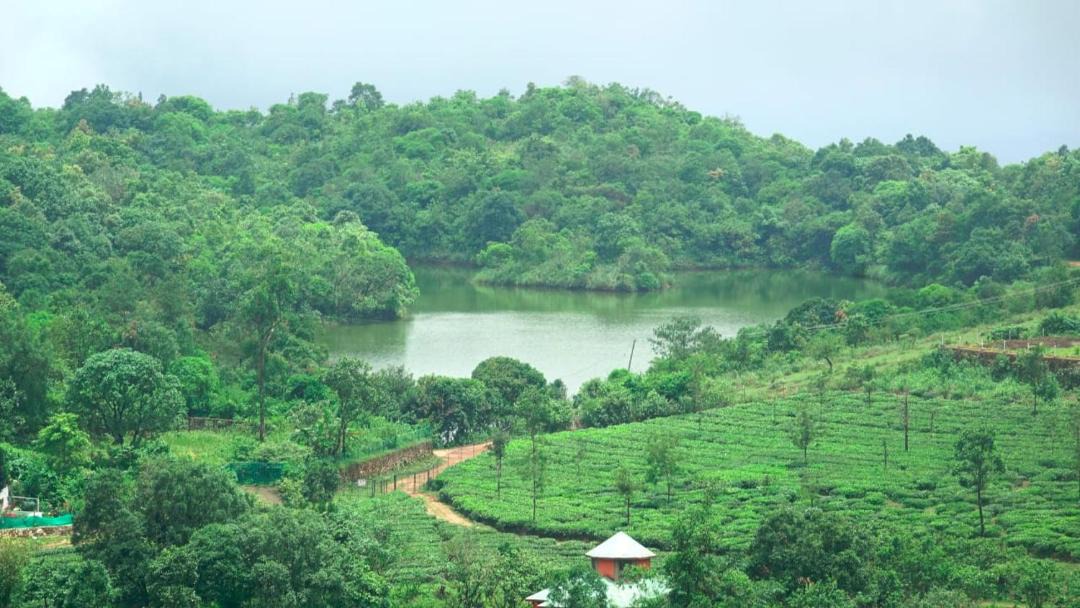 Photo of Outdoor in Vagamon