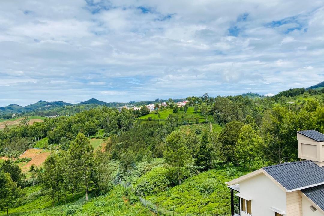 Photo of Others in Ooty