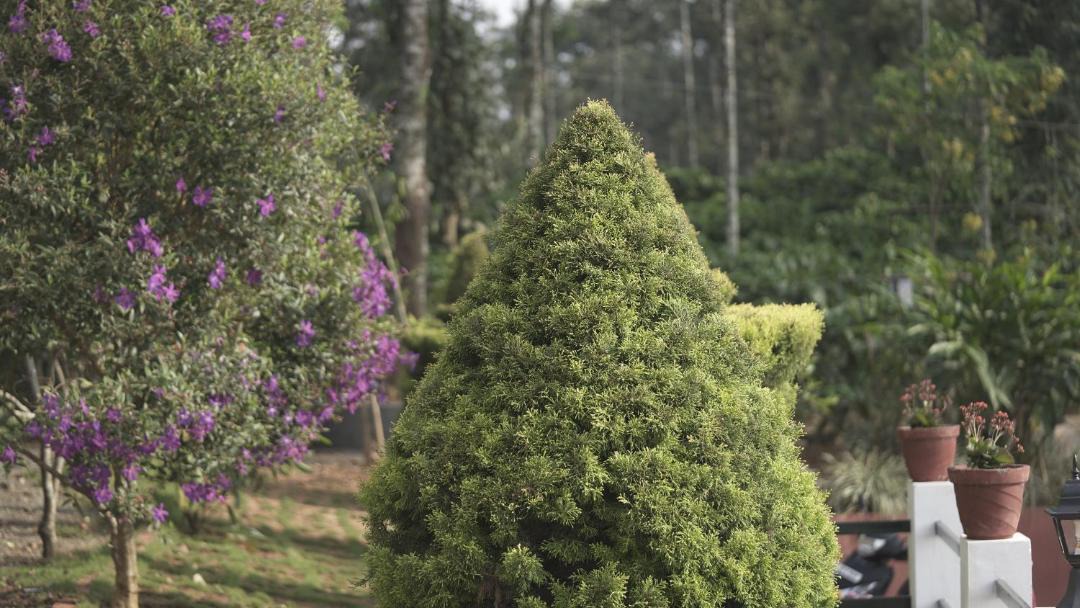 Photo of Outdoor in Gudalur