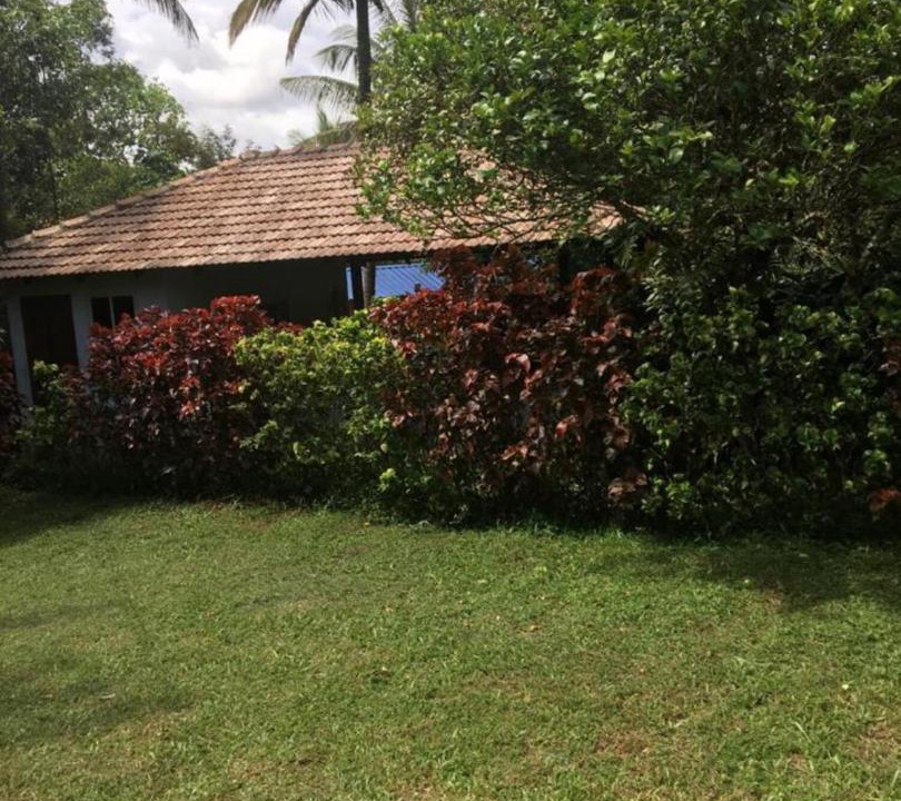 Photo of Buildings in Mudigere