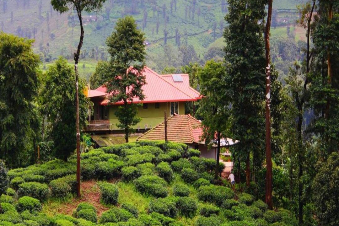 Photo of Outdoor in Mudigere