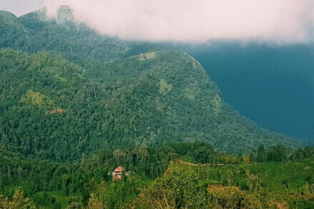 Photo of Outdoor in Mudigere