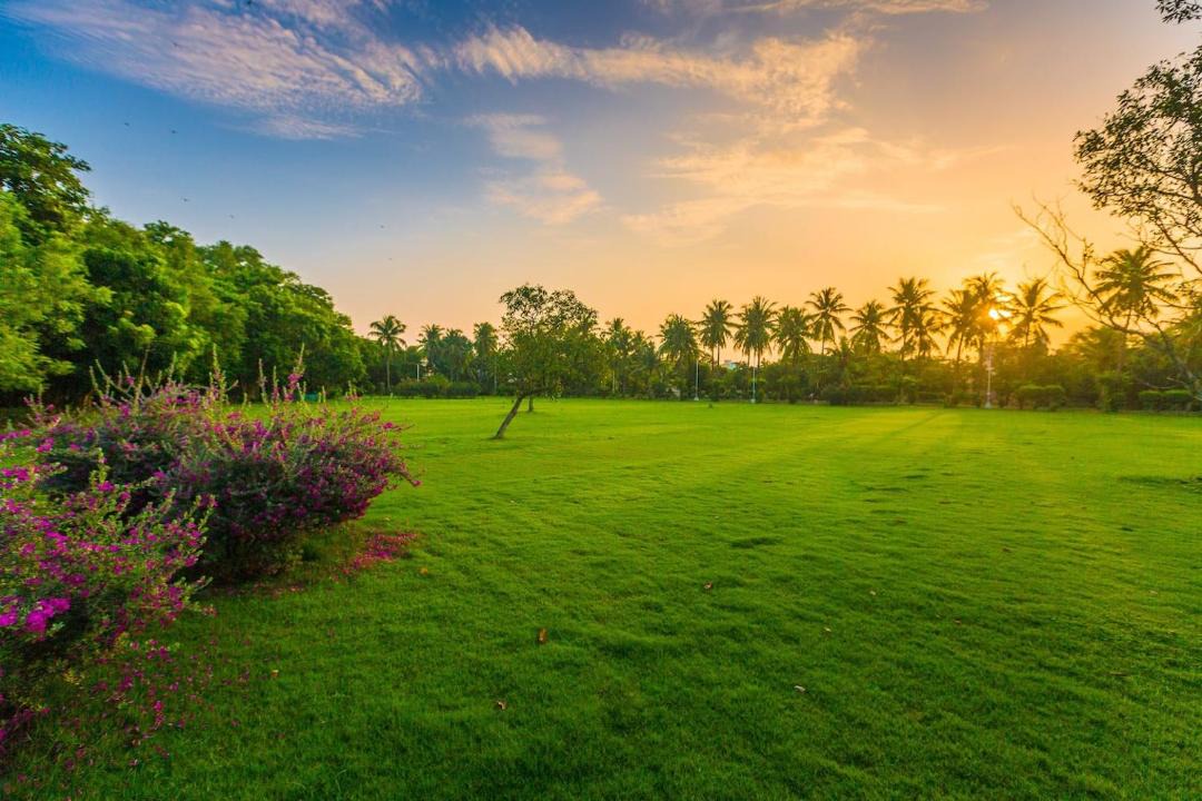 Photo of Others in Valasaravakkam