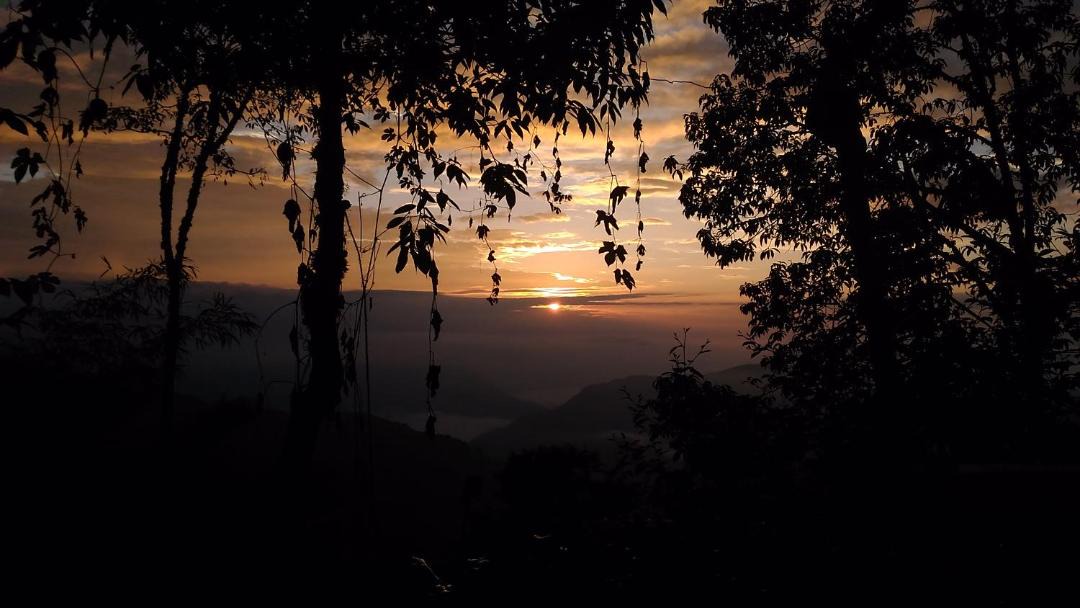 Photo of Others in Darjeeling