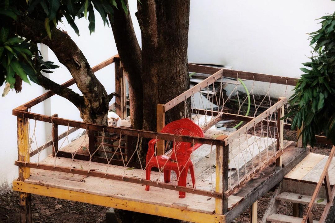 Photo of Others in Santiniketan