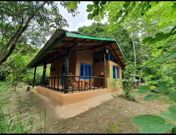 Photo of Buildings in Bail Parao