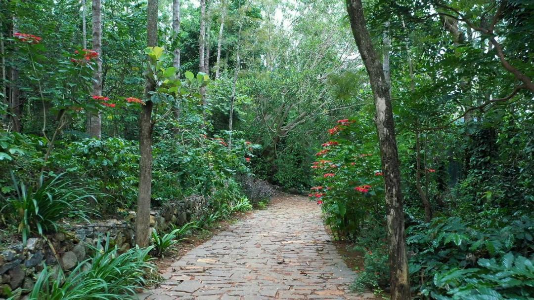 Photo of Others in Yercaud