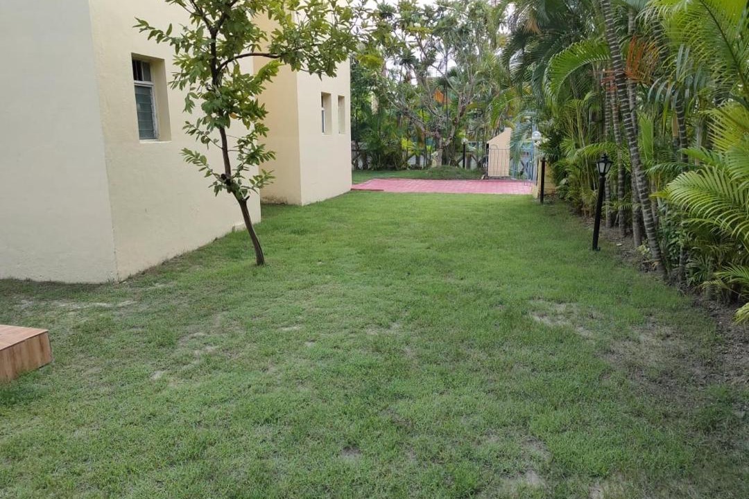 Photo of Buildings in Raichak