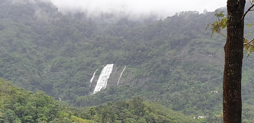 Photo of Outdoor in Devikolam