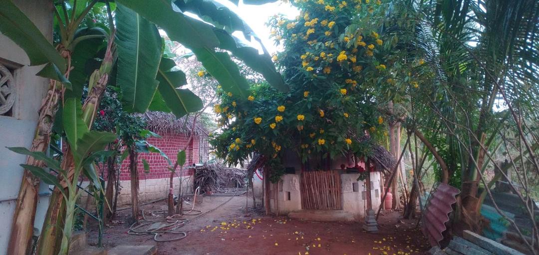 Photo of Others in Tiruvannamalai