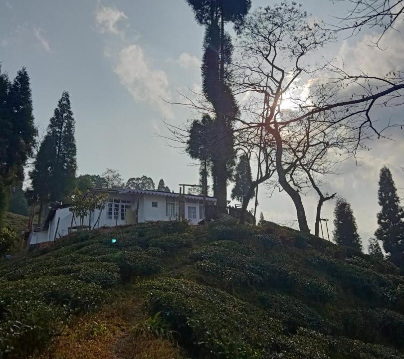 Photo of Others in Darjeeling