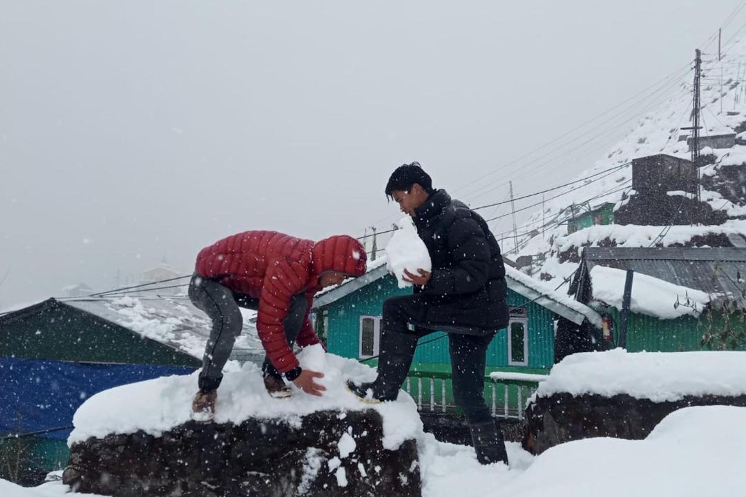 Photo of Human In Picture in Zuluk