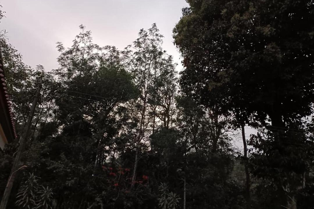 Photo of Others in Madikeri