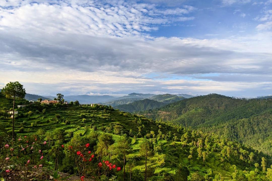 Photo of Outdoor in Kaul