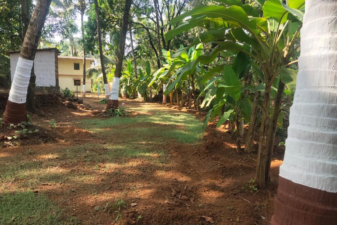 Photo of Others in Anjanvel
