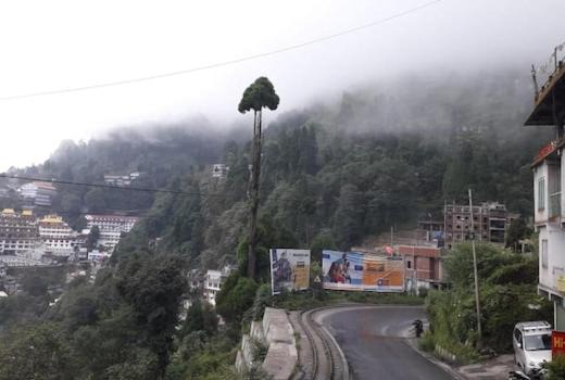 Photo of Others in Darjeeling