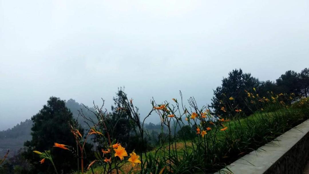 Photo of Others in Kodaikanal