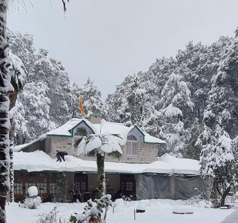 Photo of Buildings in Nainital