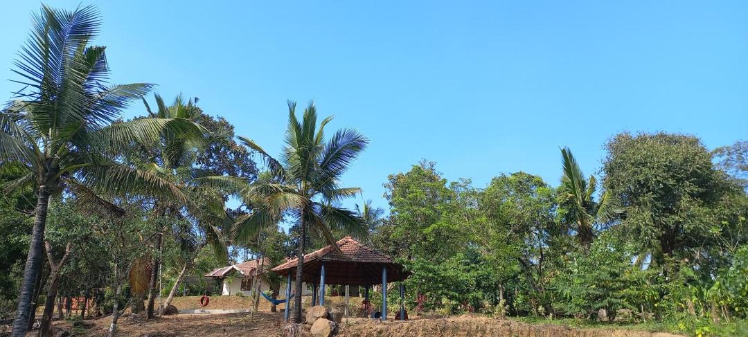 Photo of Others in Sakleshpur